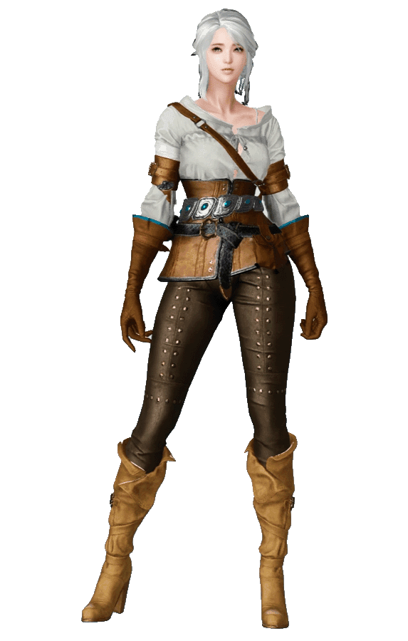 The Witcher Female Lost Ark Skin