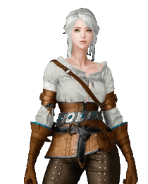 the witcher female Lost Ark Skin