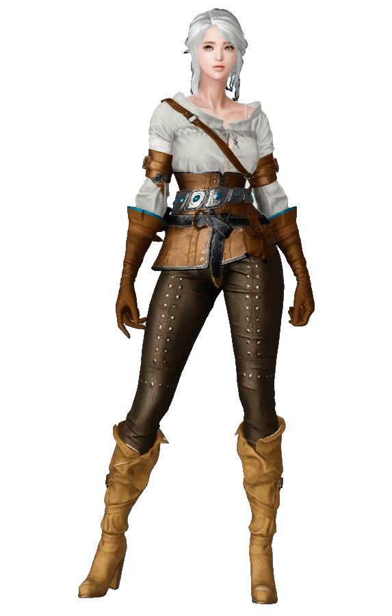 The Witcher Female Lost Ark Skin