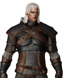 The Witcher male Lost Ark Skin